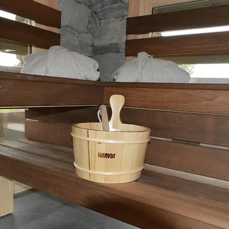 Chalet De La Royotte - Sauna & Spa Gerardmer Exterior photo
